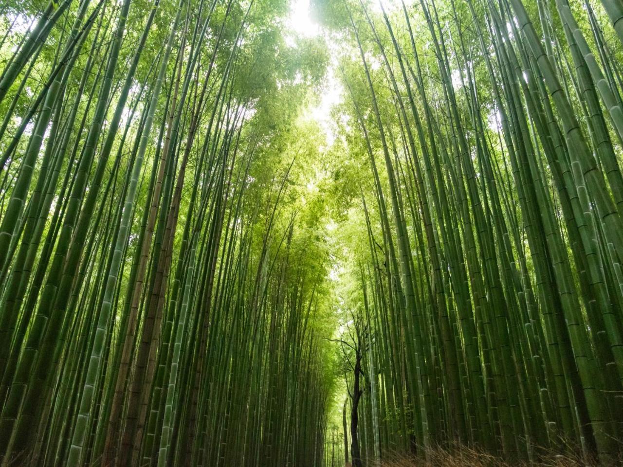 Kyoto Machiyado Shijokarasuma Hotell Eksteriør bilde